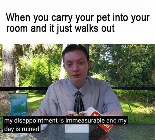 My Disappointment Is Immeasurable
