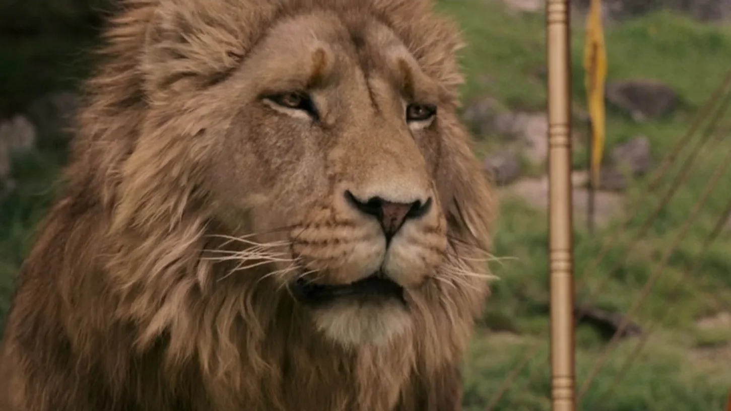 The original film still of Aslan from The Chronicles of Narnia: The Lion, the Witch and the Wardrobe, which serves as the visual basis for the meme.