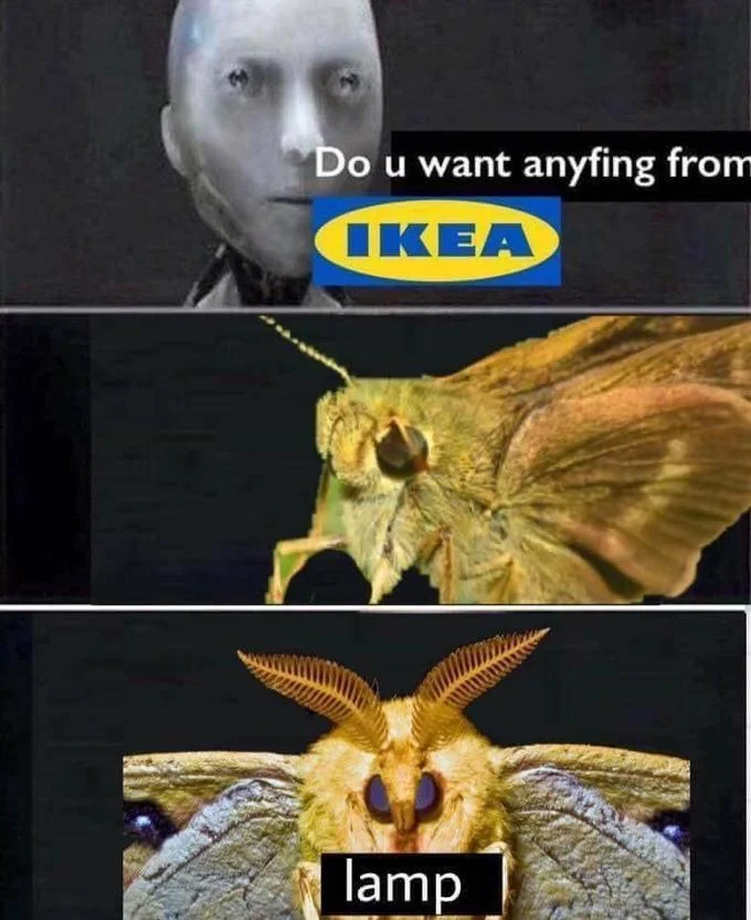 An IKEA-and-moth remix leveraging the meme format's setup-and-punchline structure with the classic moth-lamp joke.