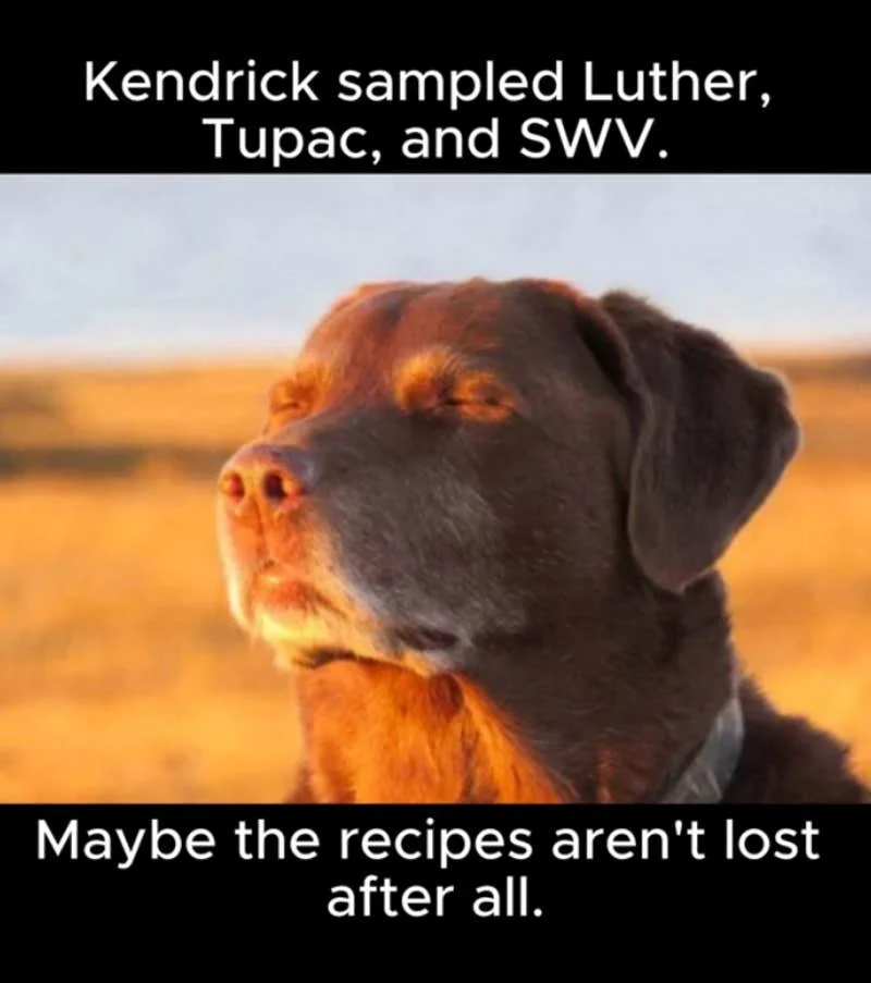 Dog accepts musical sampling heritage discovery.
