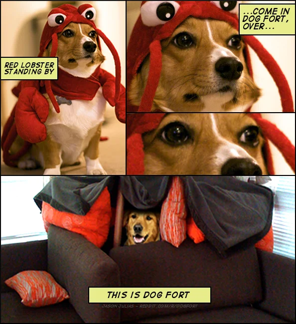 A fan-made comic depicting Red Lobster reporting in to Dog Fort — one of the many characters that spun out of the r/DogFort roleplay community.