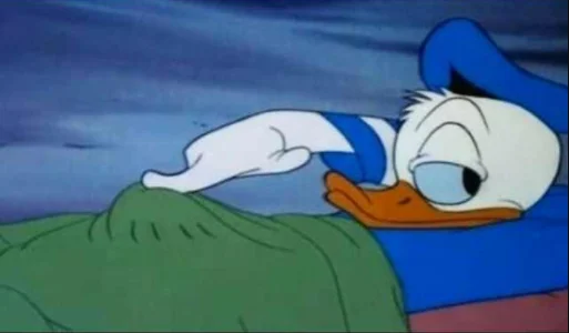 Donald Duck Boner