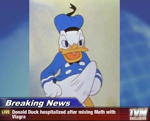 Donald Duck Boner