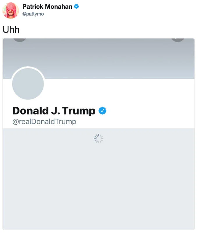 A widely shared tweet capturing the moment @realDonaldTrump's Twitter profile appeared inaccessible in November 2017.