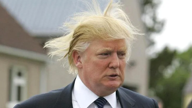 A widely circulated photograph of Donald Trump's hair caught mid-gust, one of the definitive images that turned his hairstyle into an internet meme.