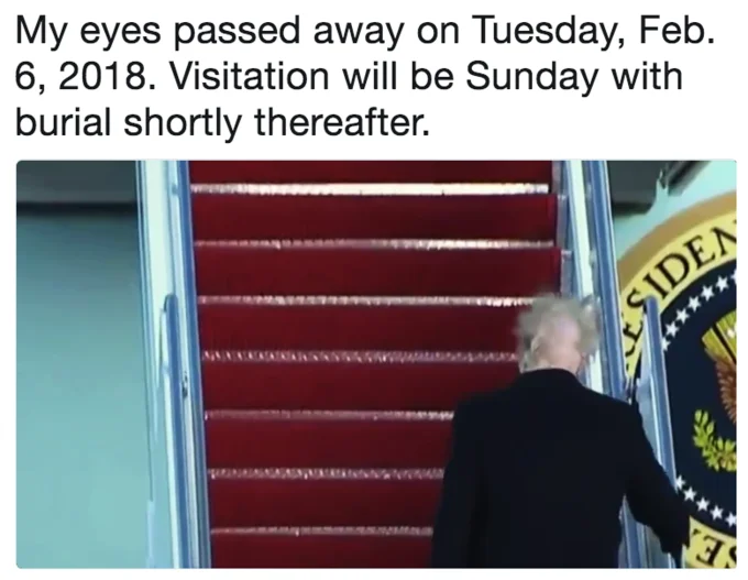 A meme reaction to the infamous Air Force One clip, joking that the viewer's eyes 'passed away' after seeing Trump's back-of-head hair exposed.