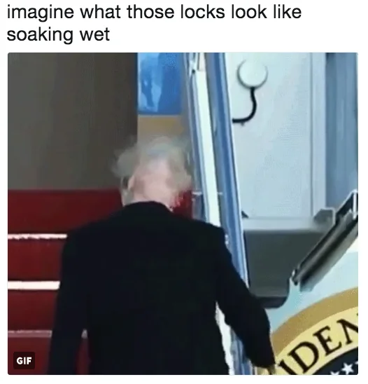 A popular meme still from the viral 2018 clip of Trump boarding Air Force One with his hair blown into disarray, revealing its unusual back structure.