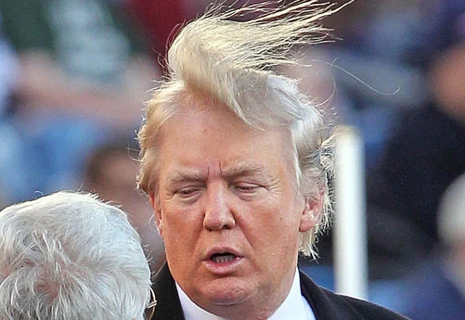 Donald Trump's comb-over stands nearly vertical in this windswept photo, a moment that became one of the meme's most shared images.