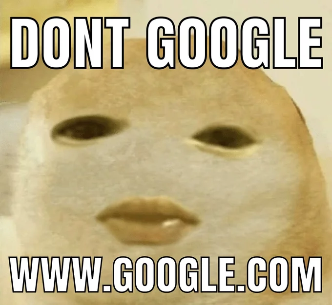 An ironic 'Don't Google' meme instructing viewers not to search for Google's own URL.