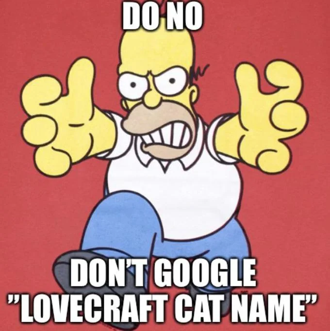 A 'Don't Google' meme warning against searching for the name of H.P. Lovecraft's cat, a common example of dangerous curiosity.