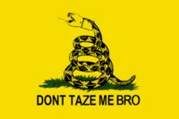 Gadsden flag political commentary meme.