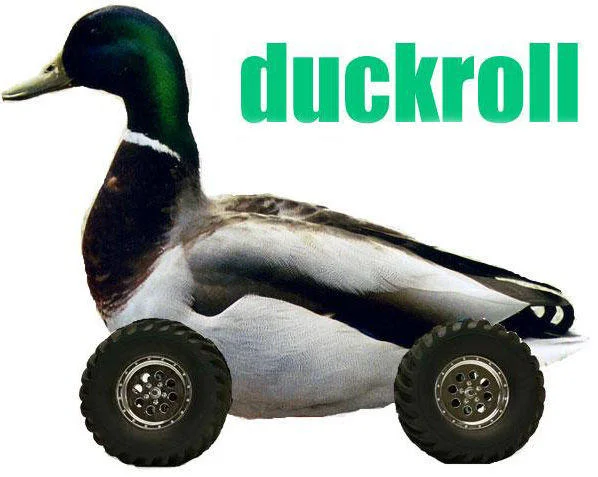 Clean labeled duckroll gallery image.