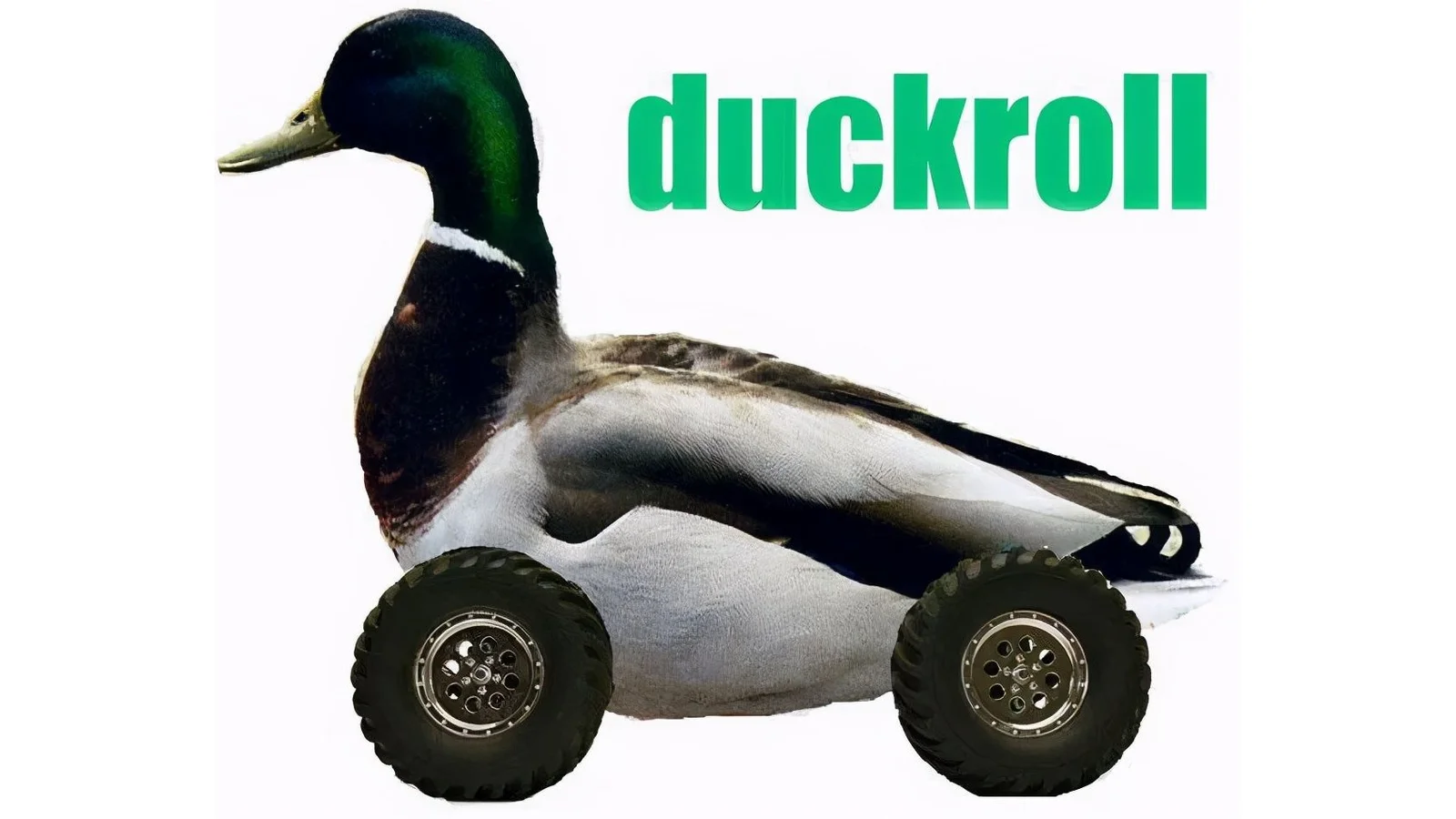 The canonical duckroll meme image.
