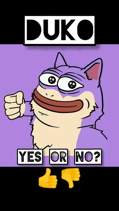 Duko YES OR NO meme template.