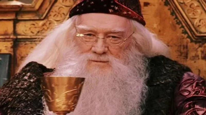 The canonical Dumbledore-posting image.