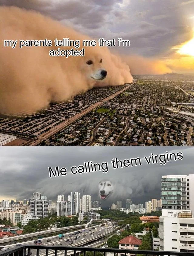 Adoption virgin parents absurdist meme.