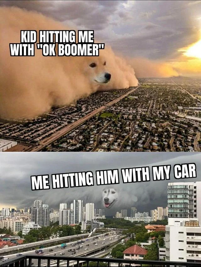 Dust Storm Dog