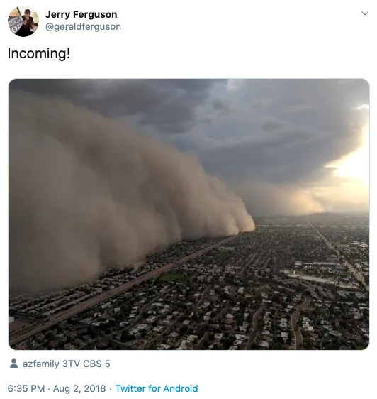 Dust Storm Dog