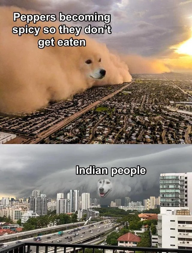 Spicy peppers Indian culture meme.