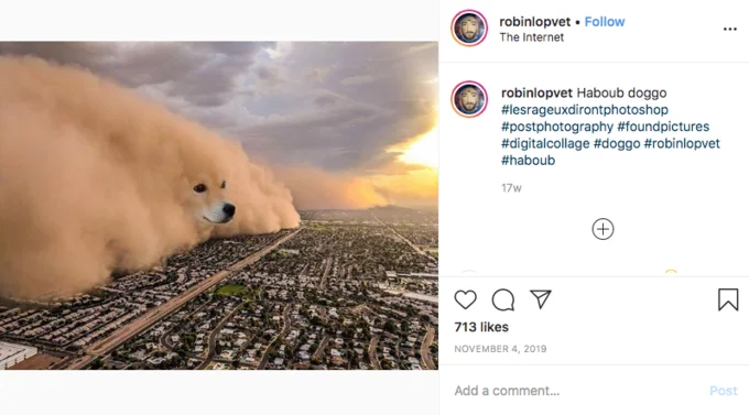First dog head edit Instagram post.