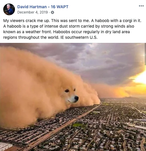 Twitter explanation of the meme.