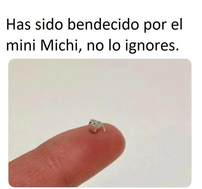 An early Spanish-language chain meme format using the tiny cat image, instructing viewers that they have been blessed by 'el mini Michi'.