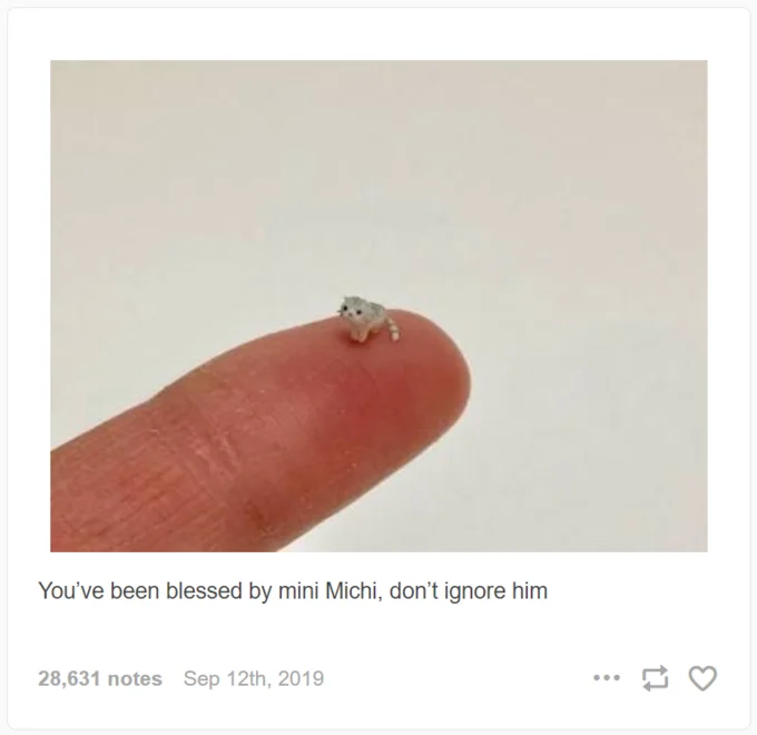 A viral Tumblr post from September 2019 that helped spread the 'mini Michi' blessing format in English-speaking communities.