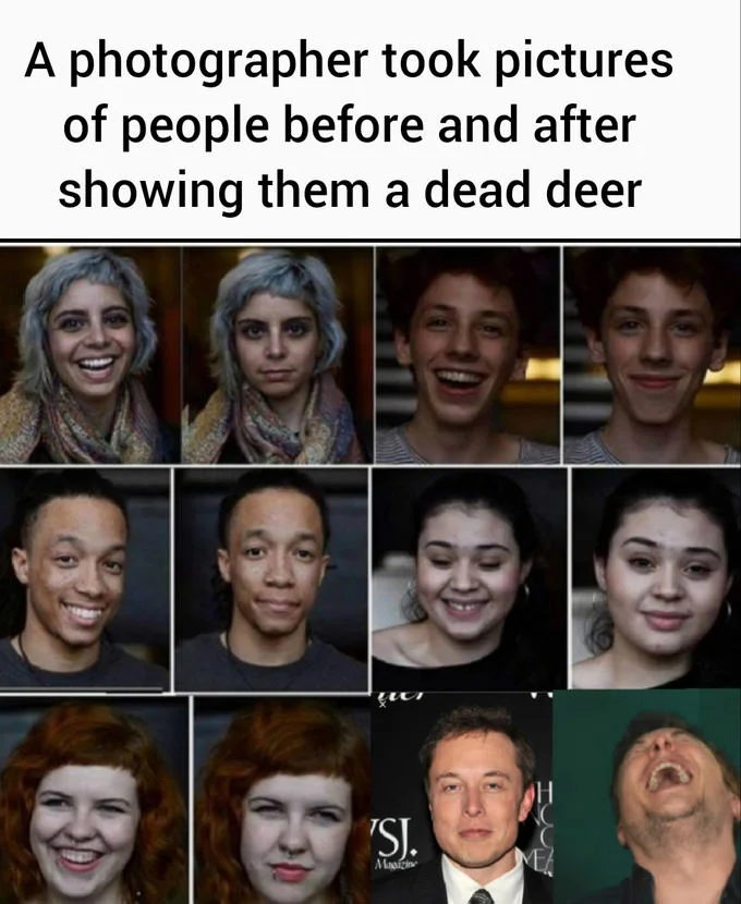 A meme format contrasting Elon Musk's boredom with normal humor against his ecstatic reaction to the dead deer photograph.