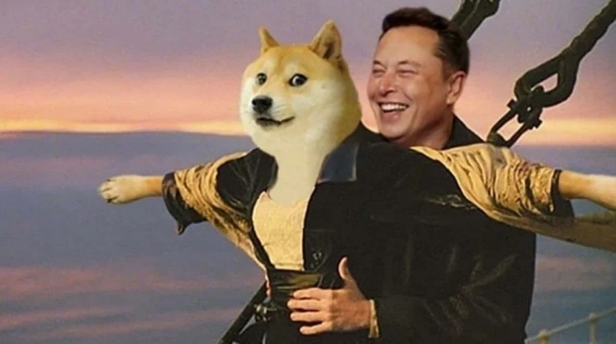 Elon Musk Memes
