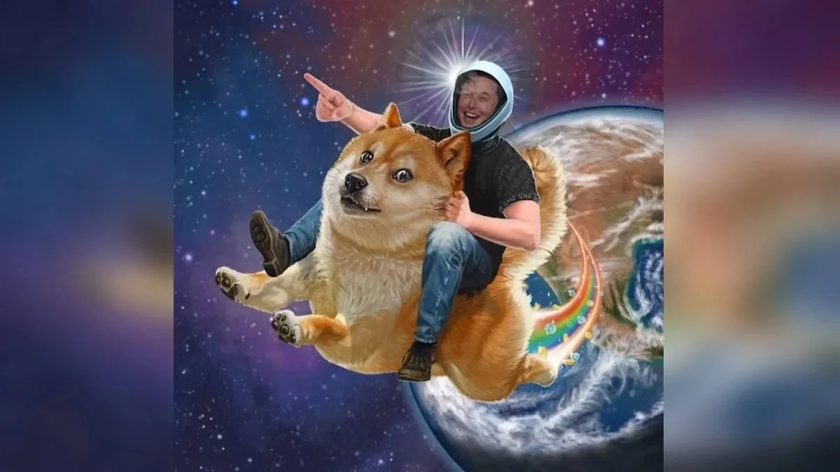 Elon Musk Memes