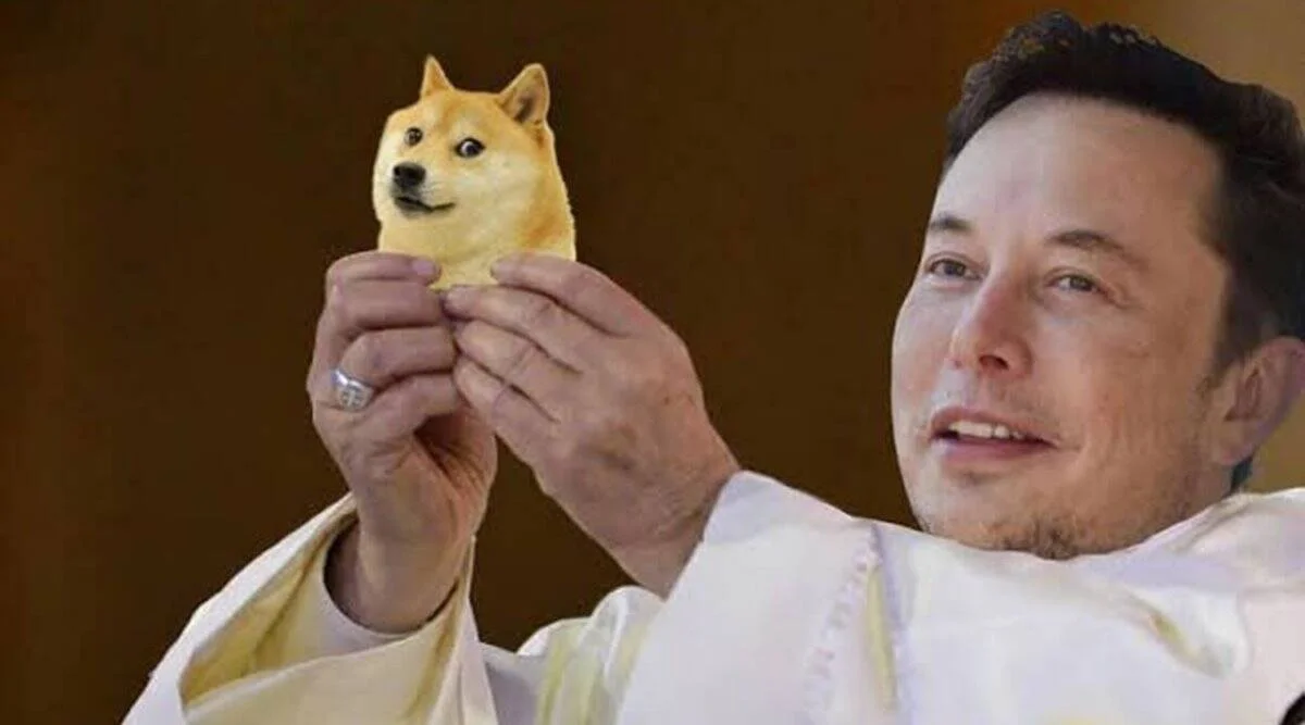 Elon Musk Memes