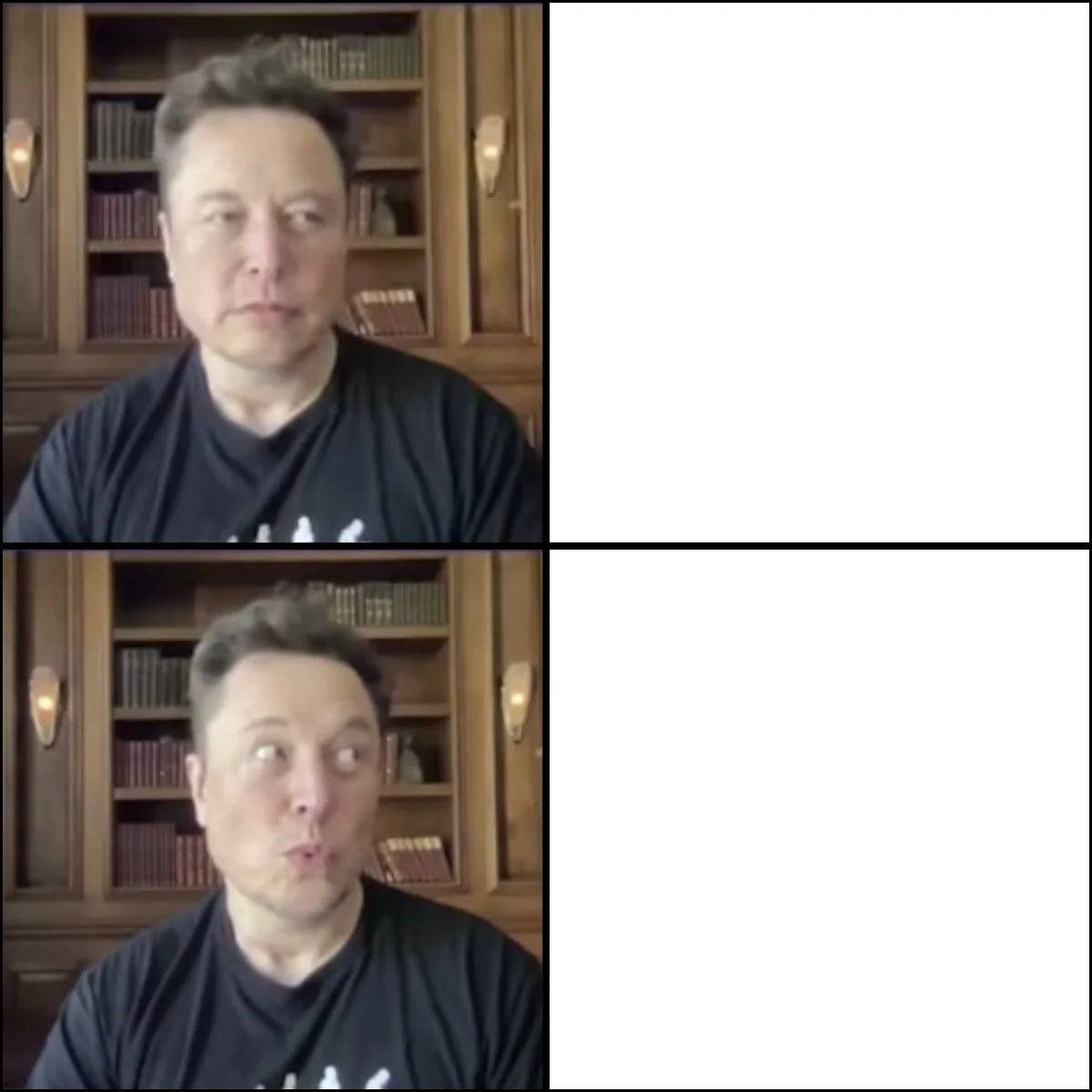 Elon Musk Memes