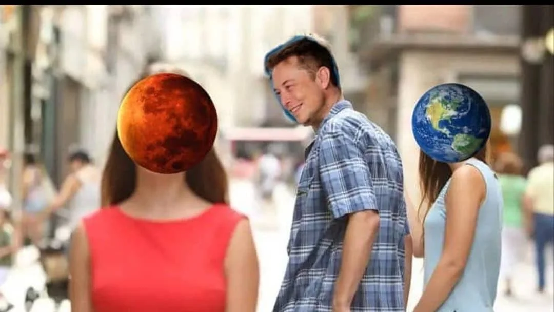 Elon Musk Memes