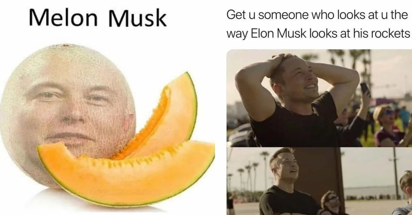 Cantaloupe Elon absurdist meme.