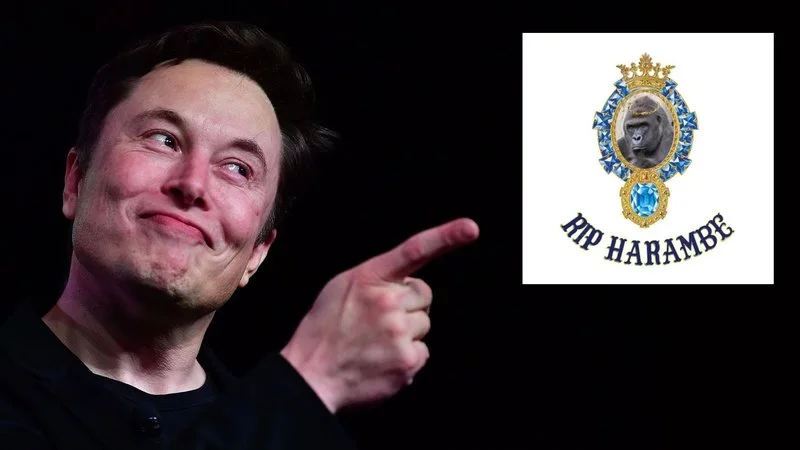 Elon Musk with Emo G Records RIP Harambe logo.