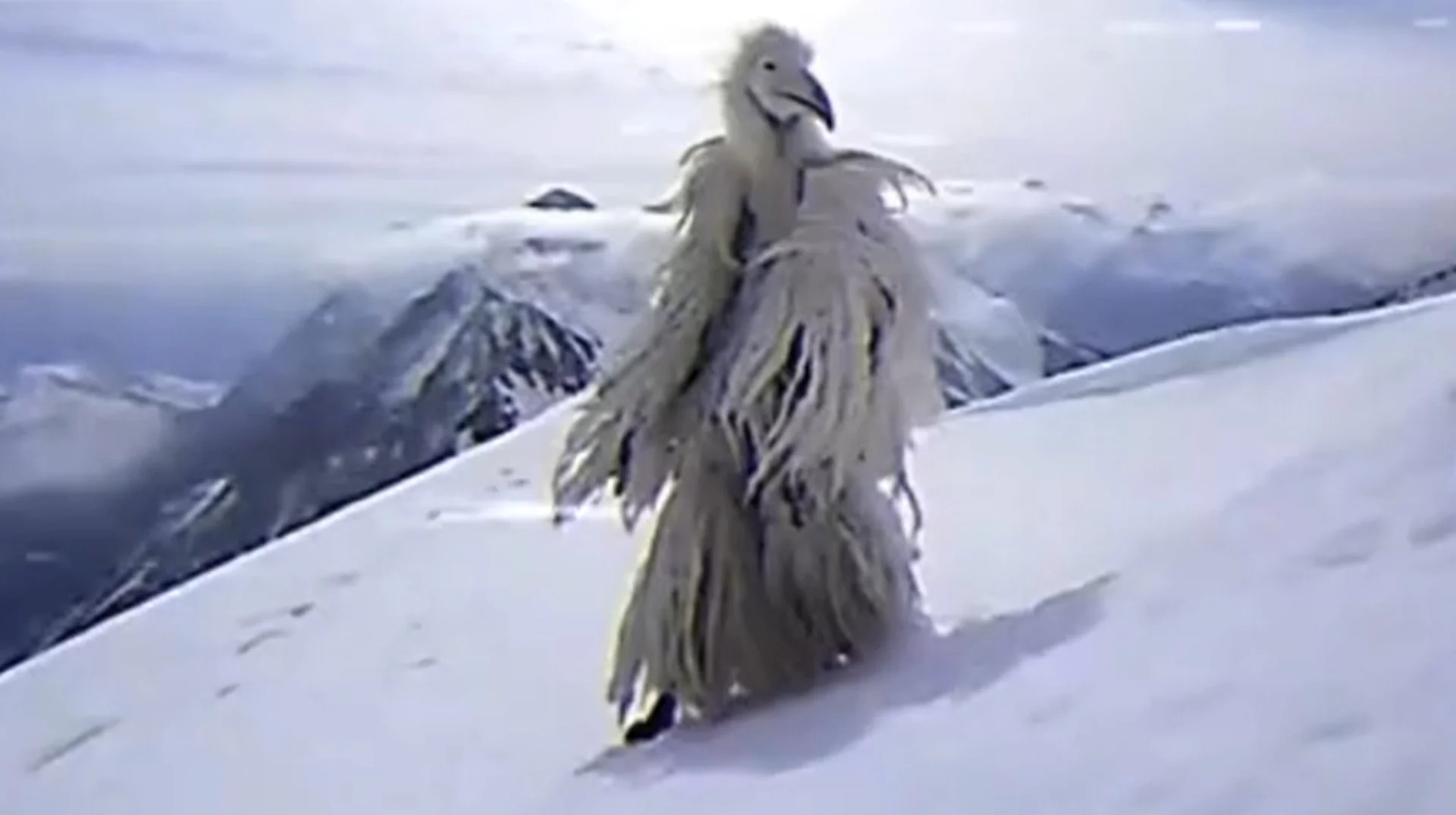A still from the viral 'Erosion Bird' (also known as 'Opium Bird') video, depicting the towering, feathered cryptid perched on a snowy peak.