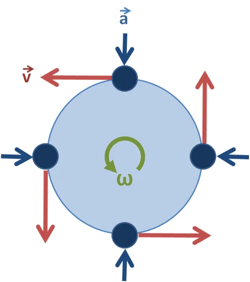 Physics diagram illustrating circular motion concepts underlying the stunt.