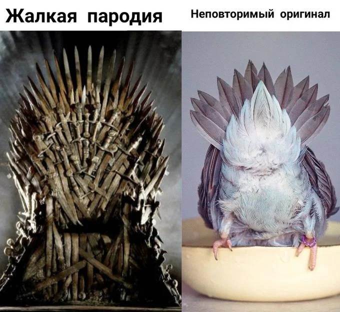The format is applied to Game of Thrones by juxtaposing the Iron Throne against a pigeon whose spread tail feathers humorously resemble the throne.