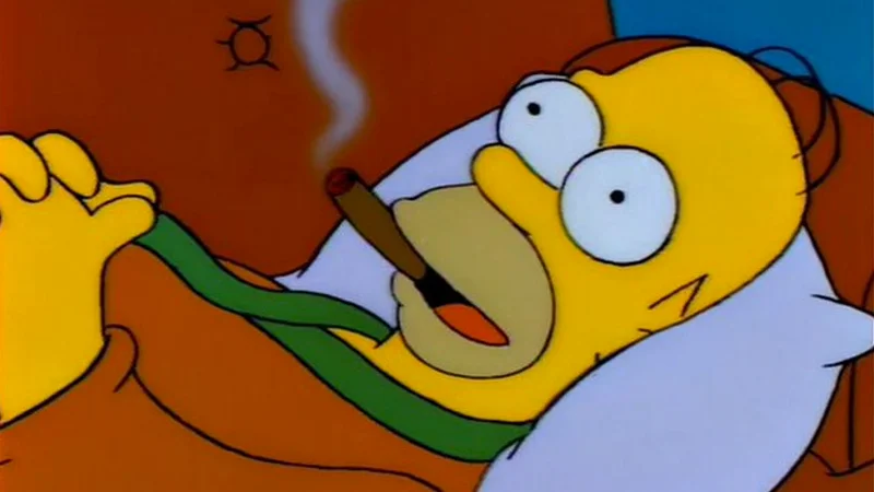 The original Simpsons scene from which the 'Everyone Is Stupid Except Me' meme originates, featuring Homer Simpson smoking a cigar in bed.