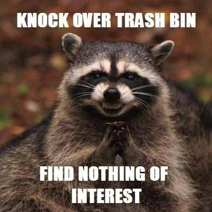 An early example of the Evil Plotting Raccoon meme poking fun at the raccoon's real-life trash-tipping habits.