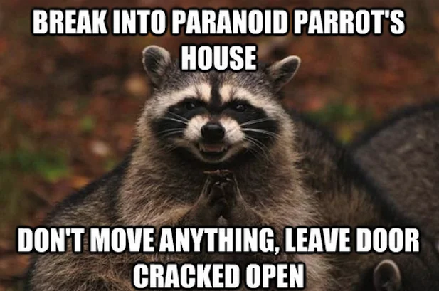 A crossover-style Evil Plotting Raccoon meme playing off the Paranoid Parrot character from Advice Animals.
