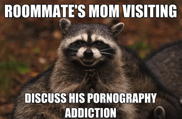 A crude Evil Plotting Raccoon macro illustrating the character's petty, mean-spirited schemes.