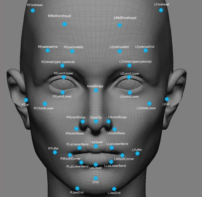 A diagram of facial landmark points used by facial recognition algorithms to map and identify a human face.