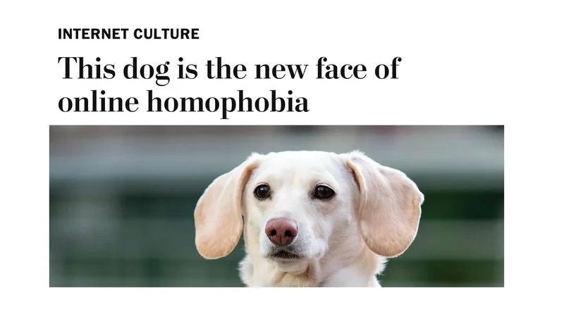 Core artifact of meme format: the 2022 viral dog article by Taylor Lorenz.