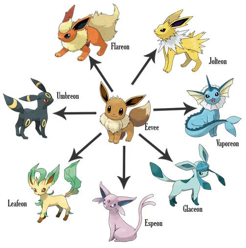 Eevee and its canonical evolutions, whose branching evolutions inspired many fakemon designs.