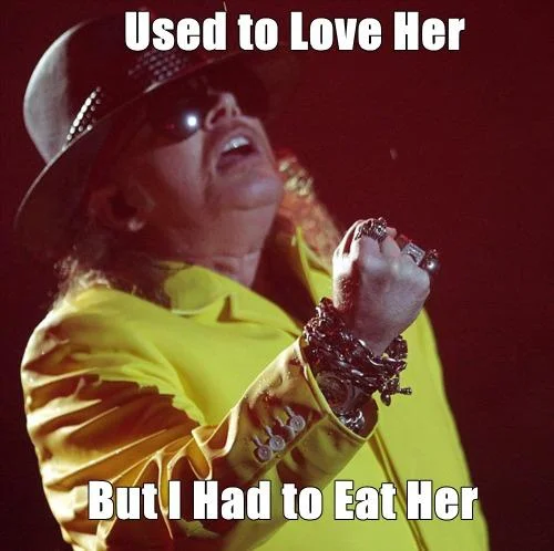 A popular 'Fat Axl' meme swapping 'heaven's door' for 'McDonald's doors' in the classic lyric.