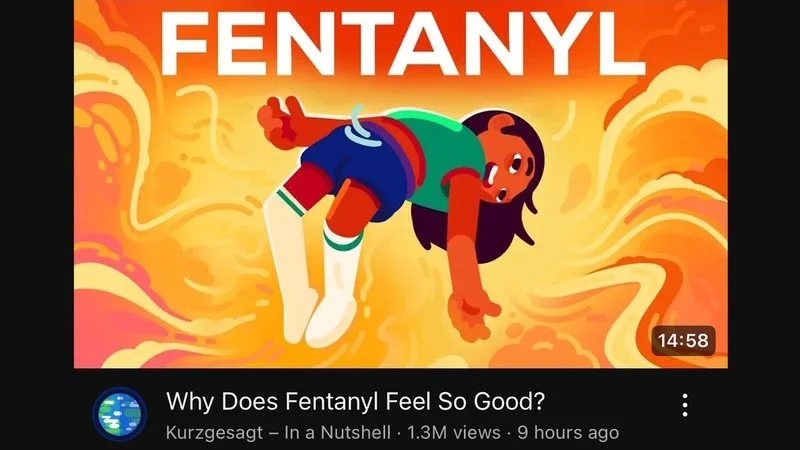 The definitive Feel Good Video meme featuring Kurzgesagt controversy.