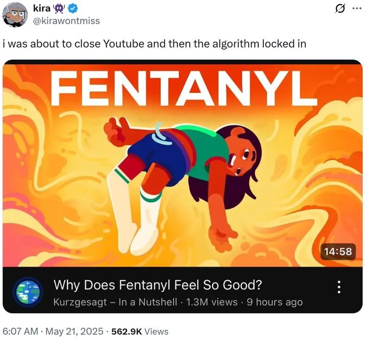 Meme pairing the character with the 'Why Does Fentanyl Feel So Good?' title.