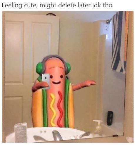 The Snapchat Dancing Hot Dog reimagined as a 'Feeling Cute, Might Delete Later' selfie post.