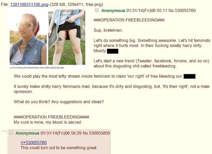 A 4chan post outlining 'Operation Freebleeding,' another troll campaign targeting online feminist communities.